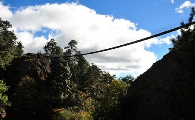  Circuits de canopée 